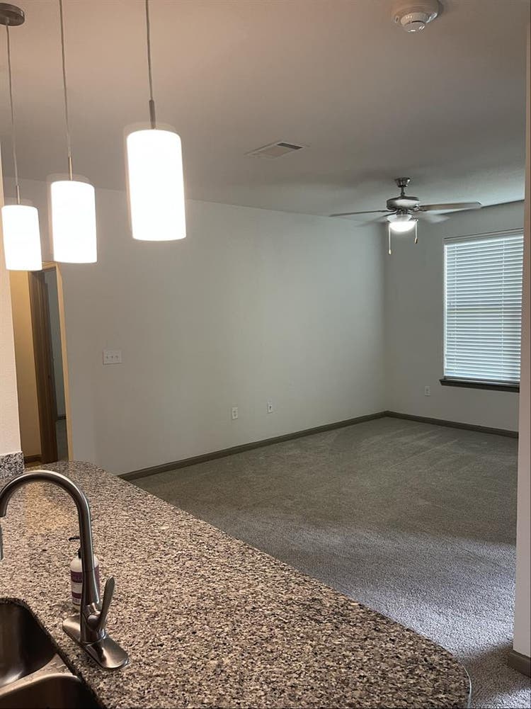 Looking for a roommate!