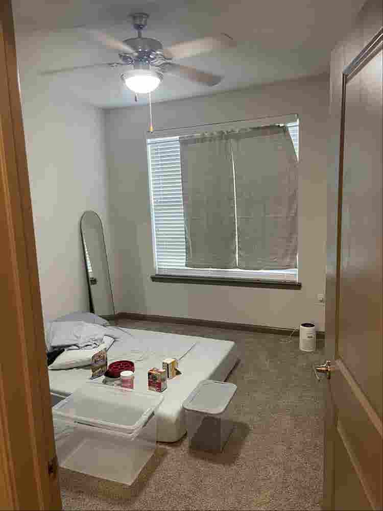Looking for a roommate!