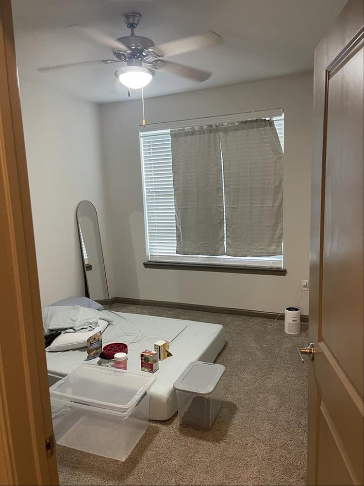 Looking for a roommate!