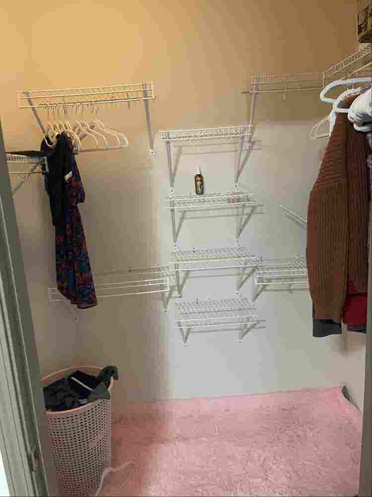 Looking for a roommate!