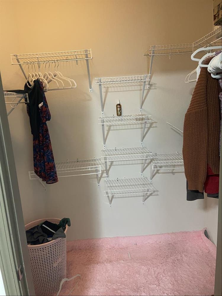 Looking for a roommate!