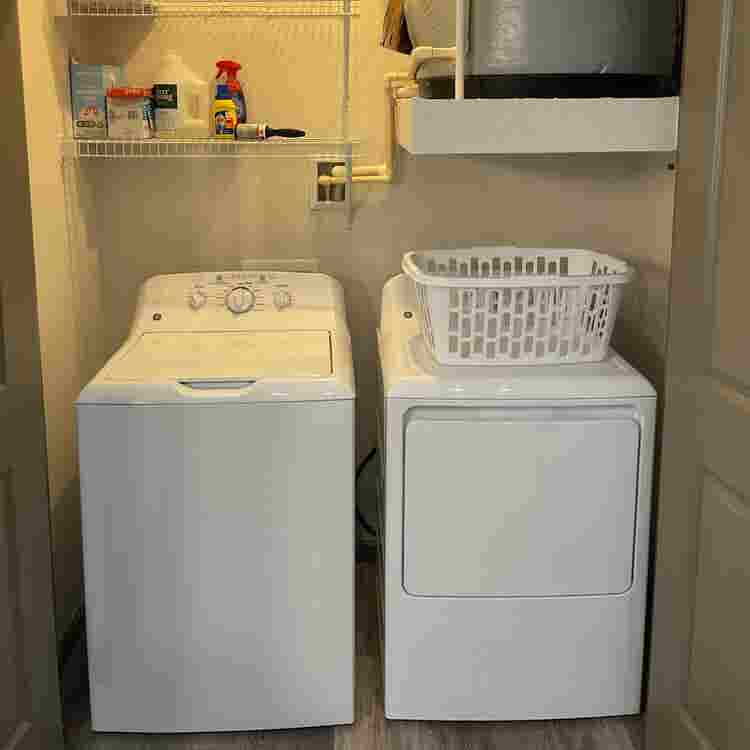 Looking for a roommate!