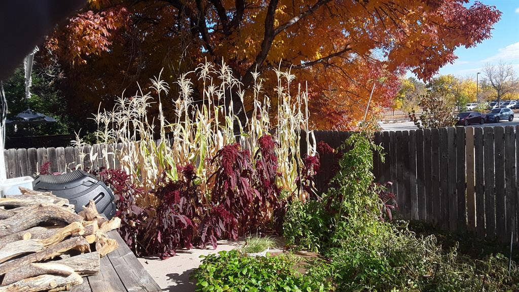 FURNISHED BEDROOM  NOW AVAILABLE!!!