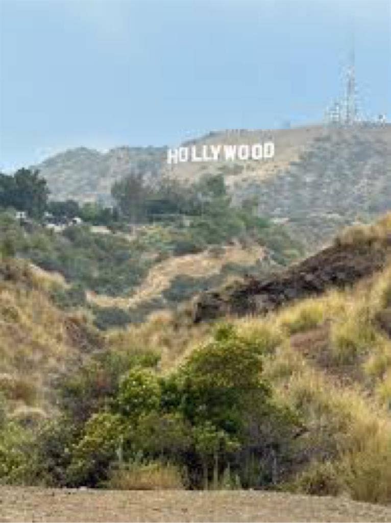 Nice room - Write "Nick" please:)