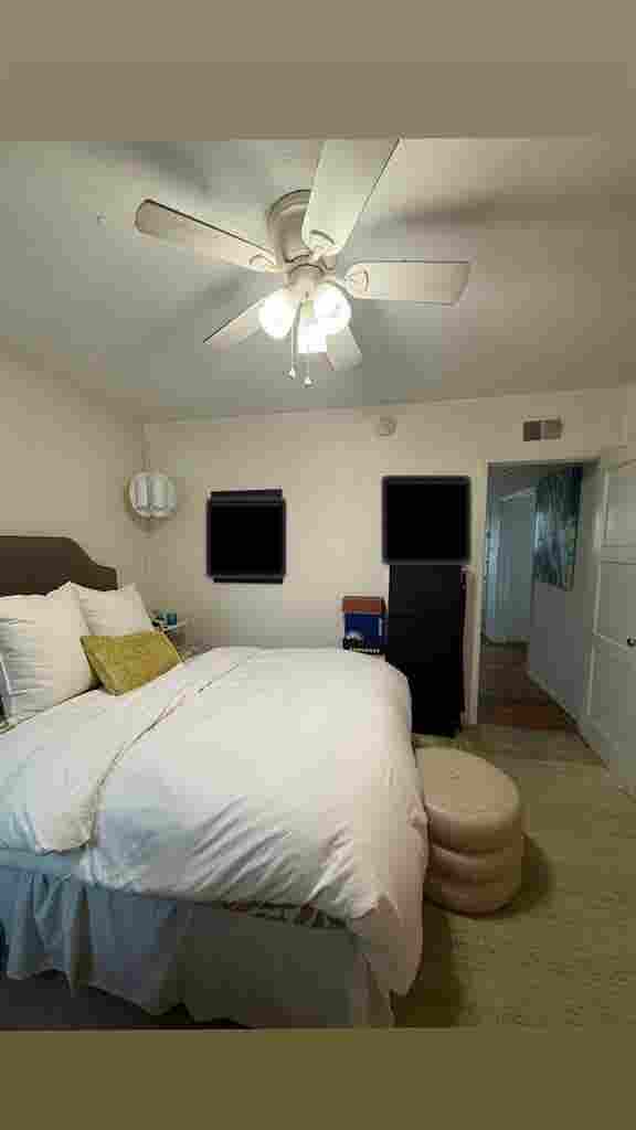 Seeking  Female Roommates!