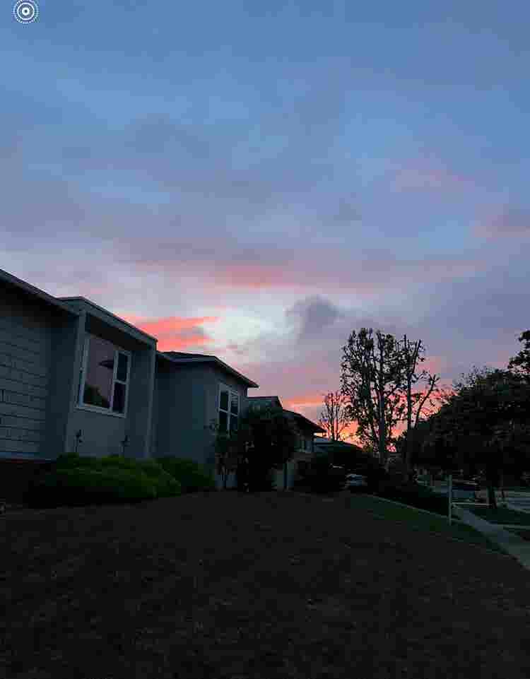 Seeking  Female Roommates!