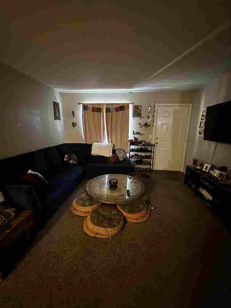 Quite and cozy room for rent