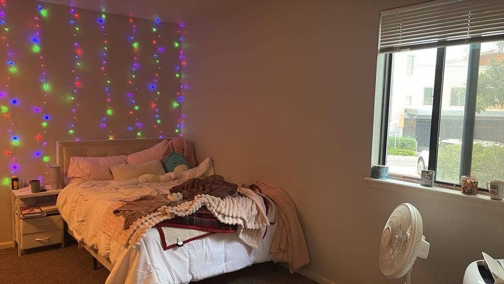 Single Room Available Immediately
