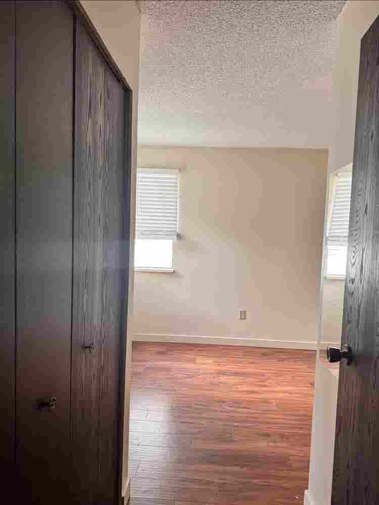 LOOKING FOR A ROOMMATE