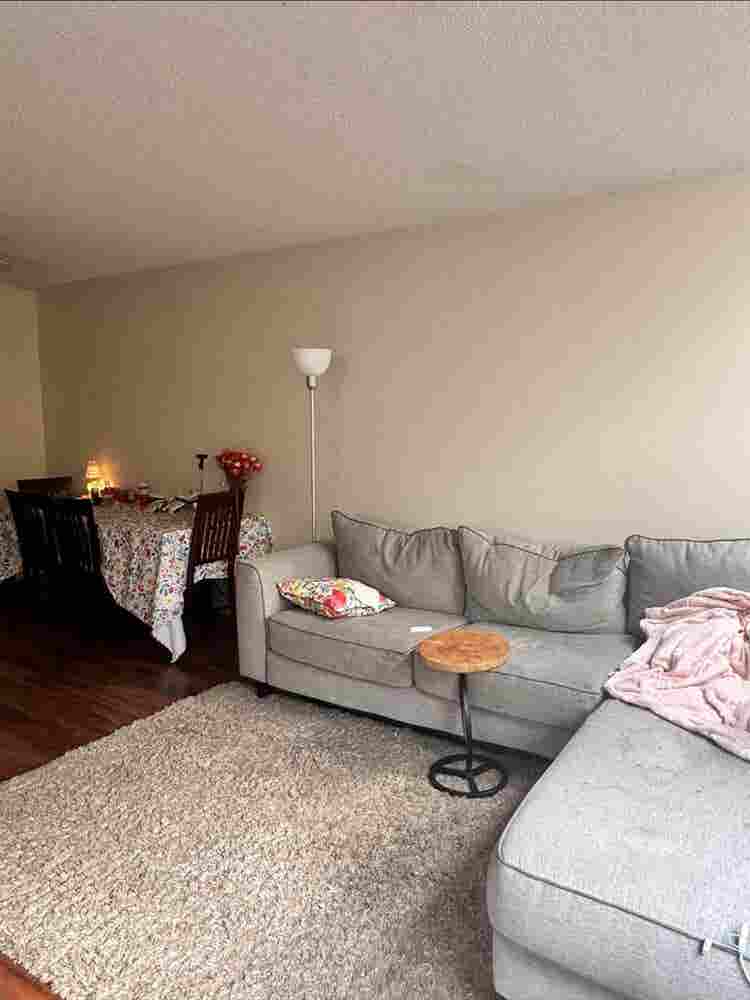 LOOKING FOR A ROOMMATE