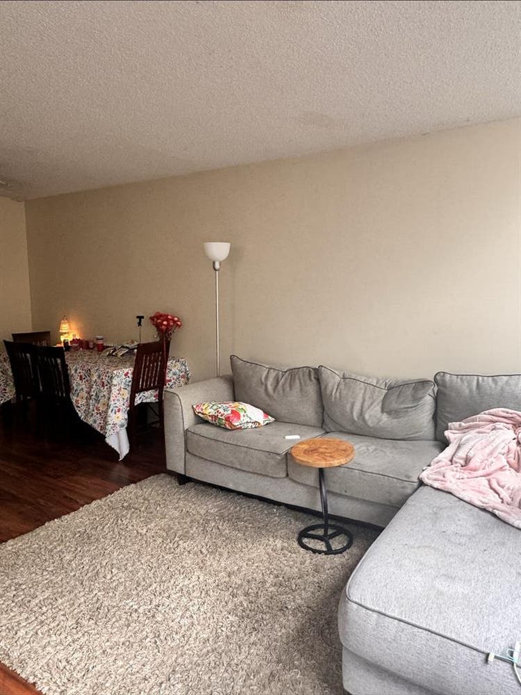 LOOKING FOR A ROOMMATE
