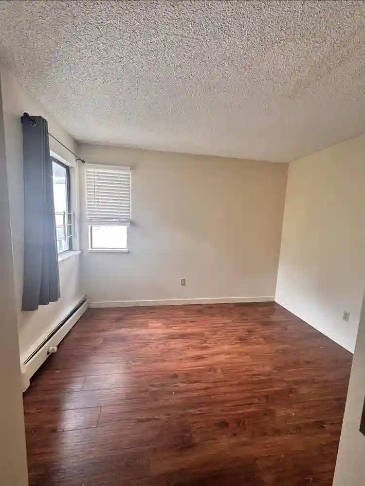 LOOKING FOR A ROOMMATE