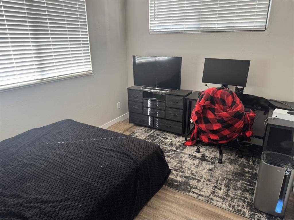 Roommate needed.