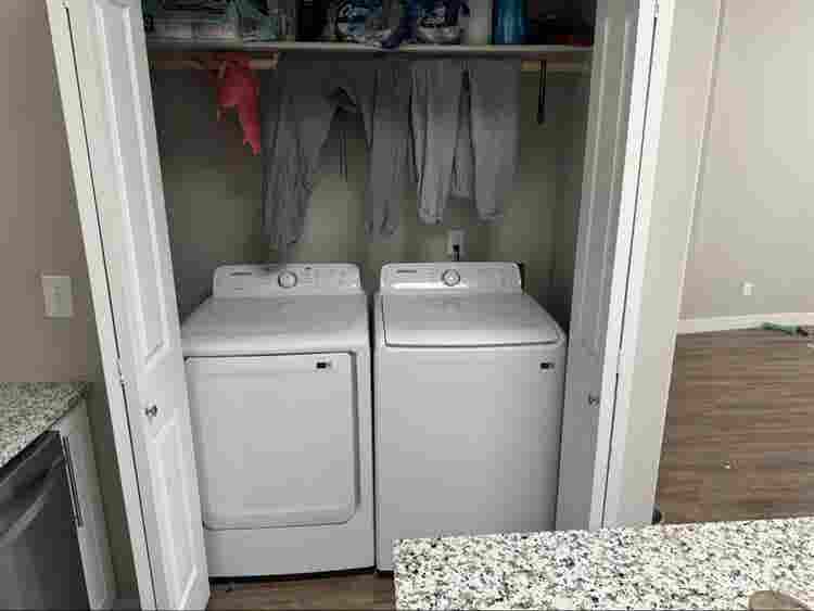 Roommate needed.