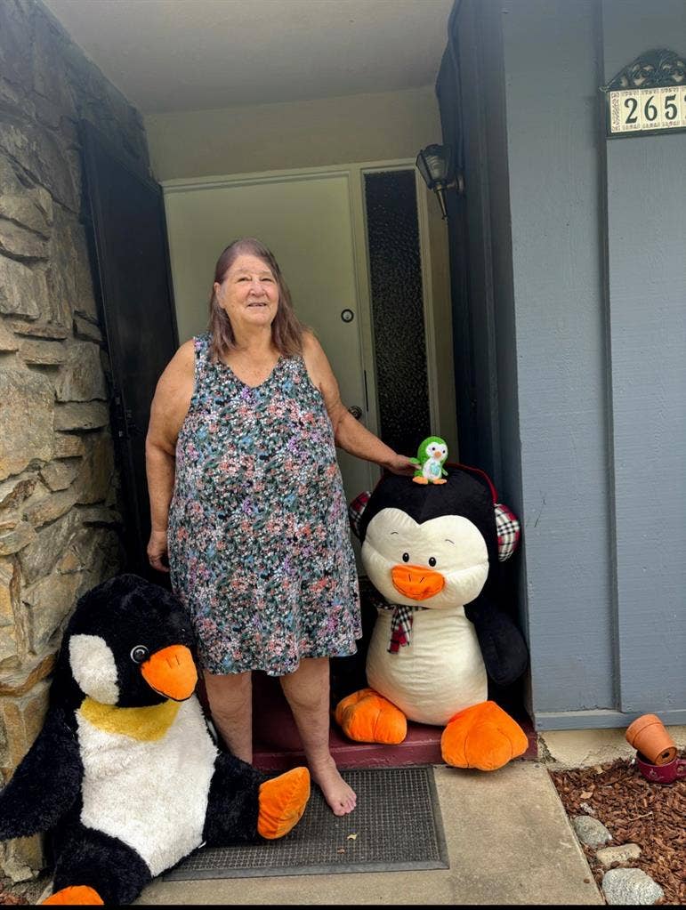 Looking to share my home