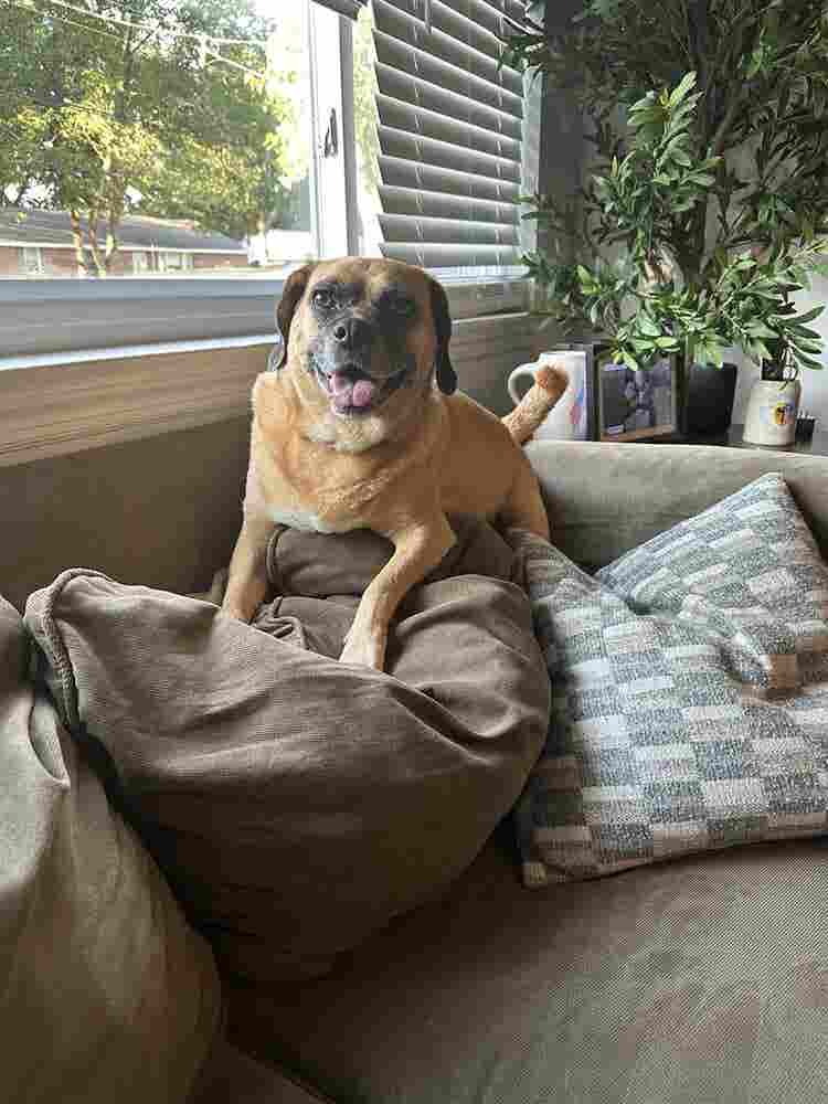 Roommate Wanted–Private Room/Bath