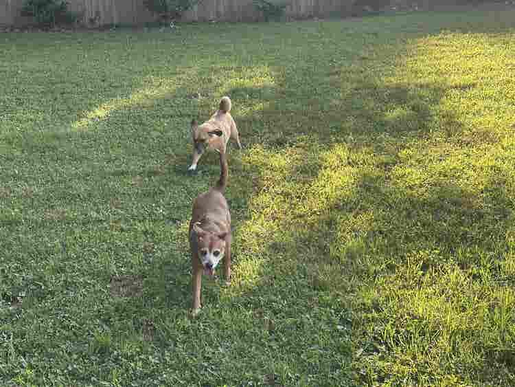 Roommate Wanted–Private Room/Bath