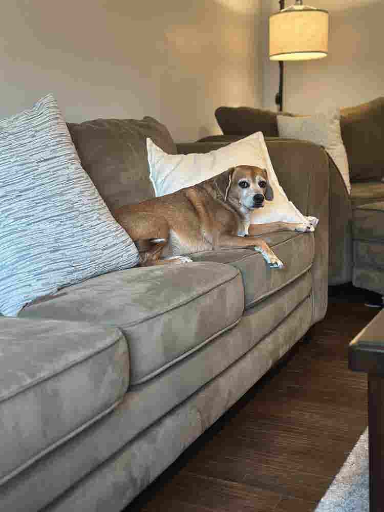 Roommate Wanted–Private Room/Bath