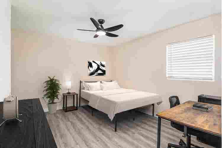 6 BR in Port Richey