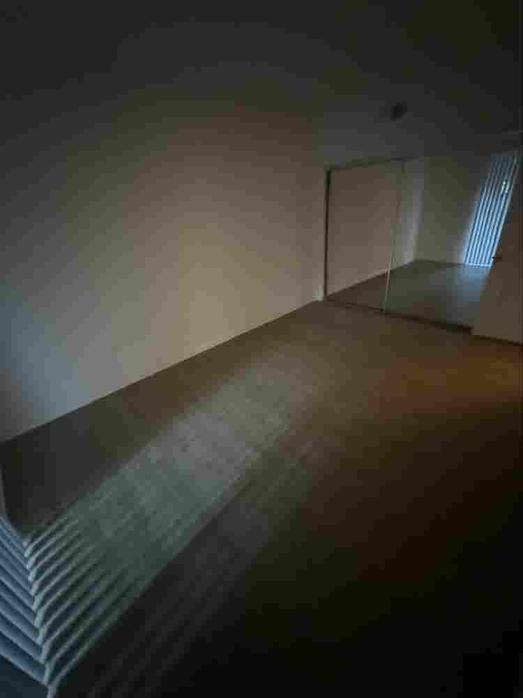 Looking for a roommate!