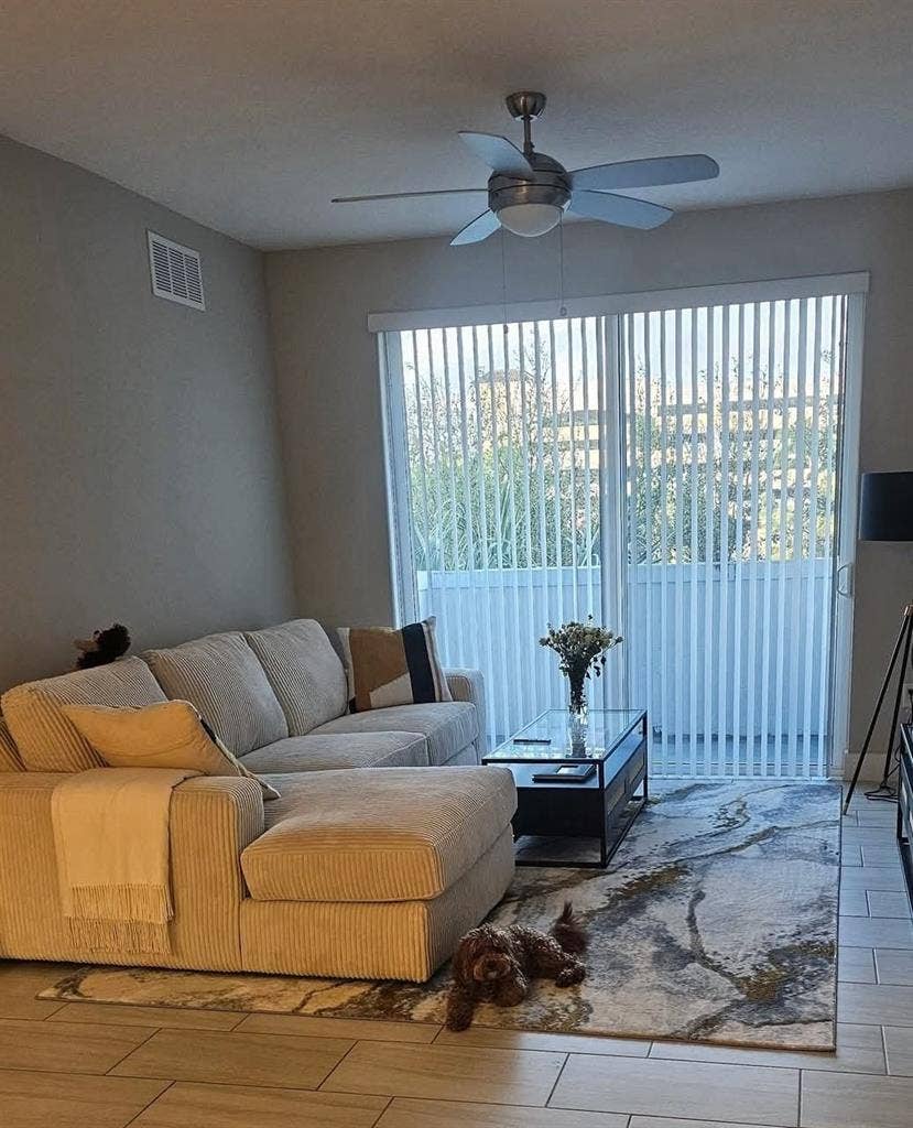 Looking for a roommate