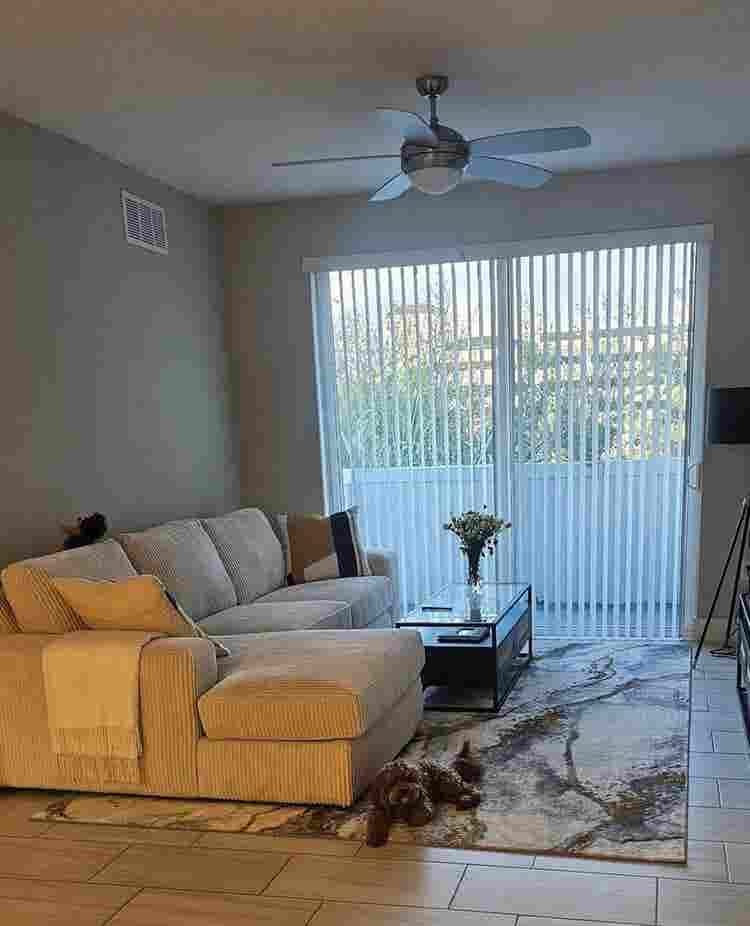 Looking for a roommate