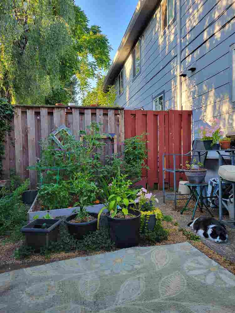 1 bedroom available