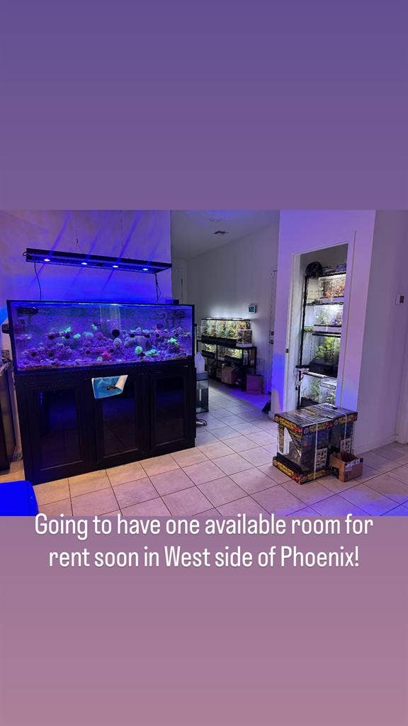 Room with Shared Bathroomm