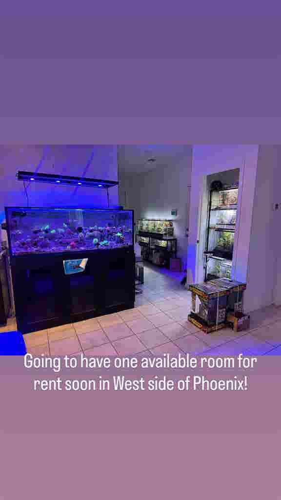 Room with Shared Bathroomm