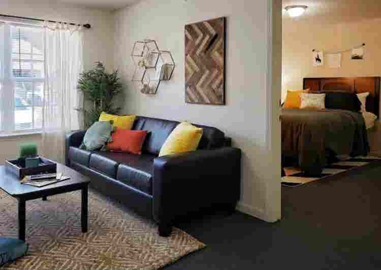 Looking for someone to sublease