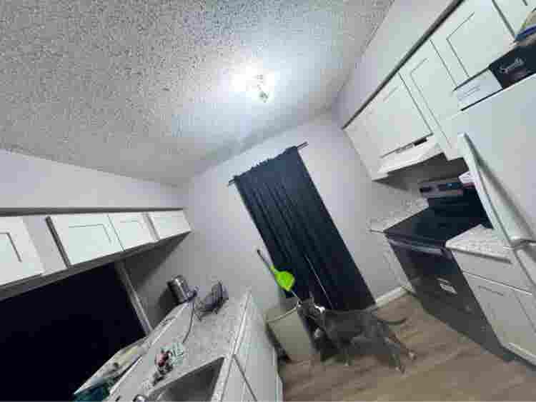 Room for rent $ a weekk