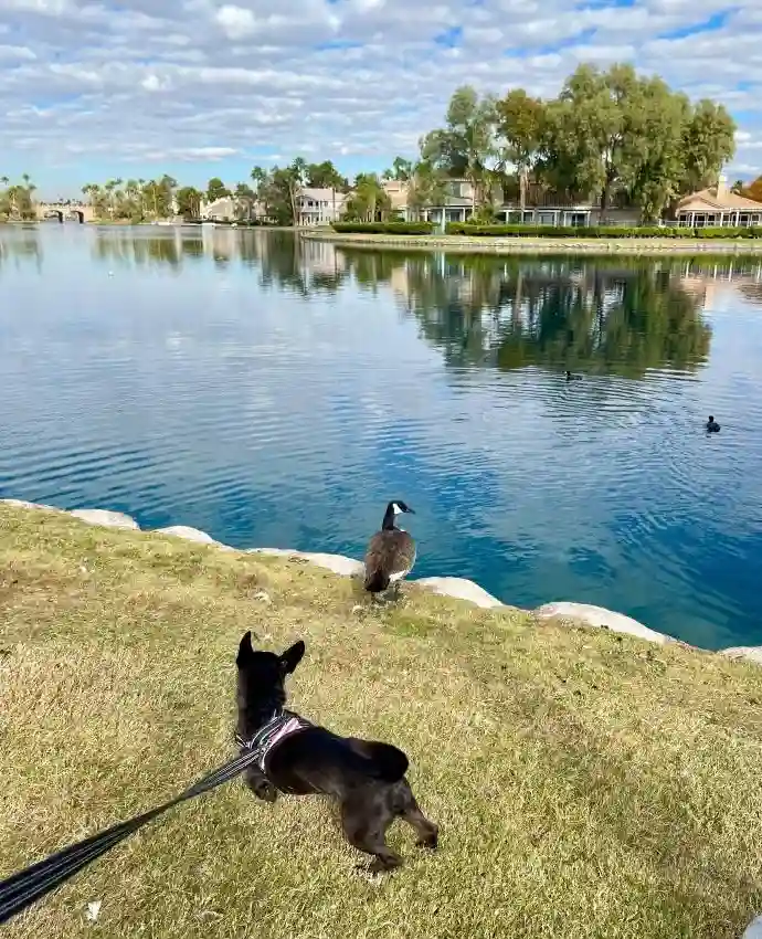 All-Inclusive – Private Bed/Bath