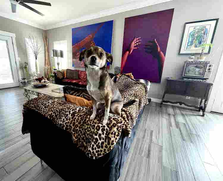 All-Inclusive – Private Bed/Bath