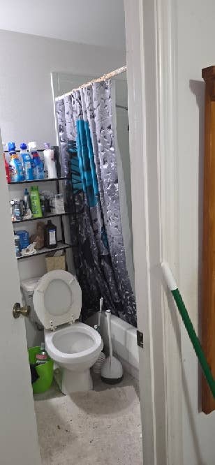 Private room w/ensuite in my home