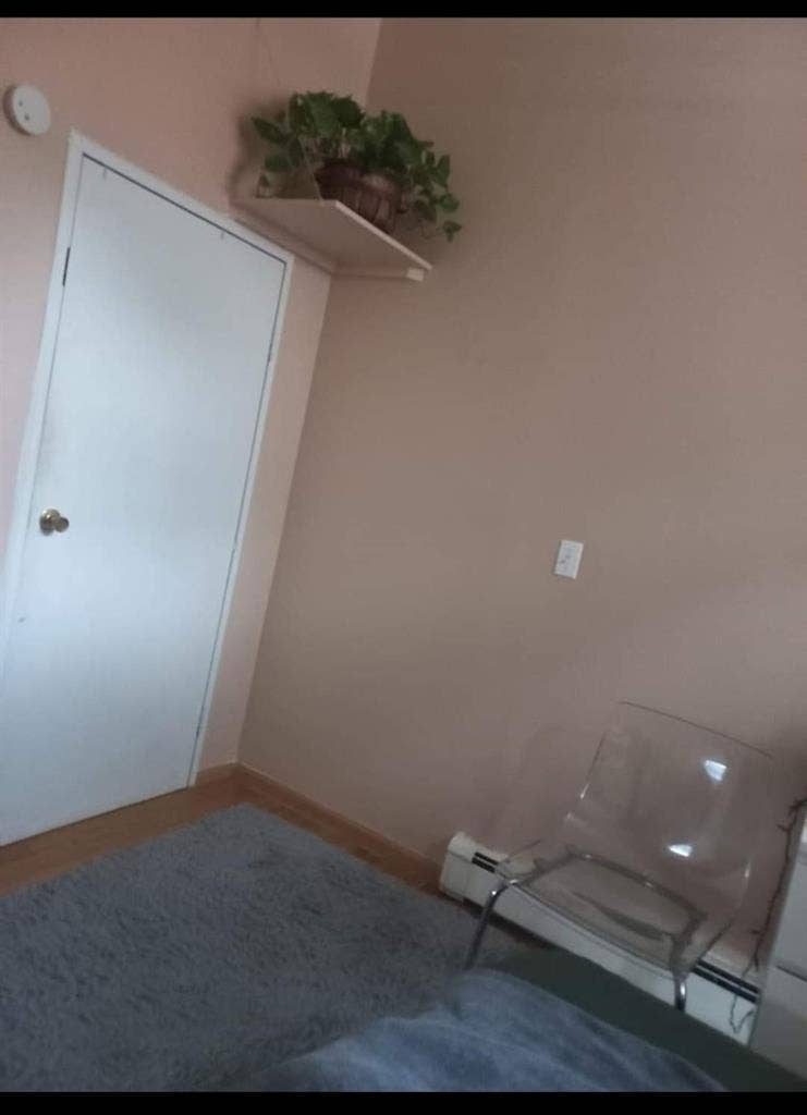 Room in Greenpoint