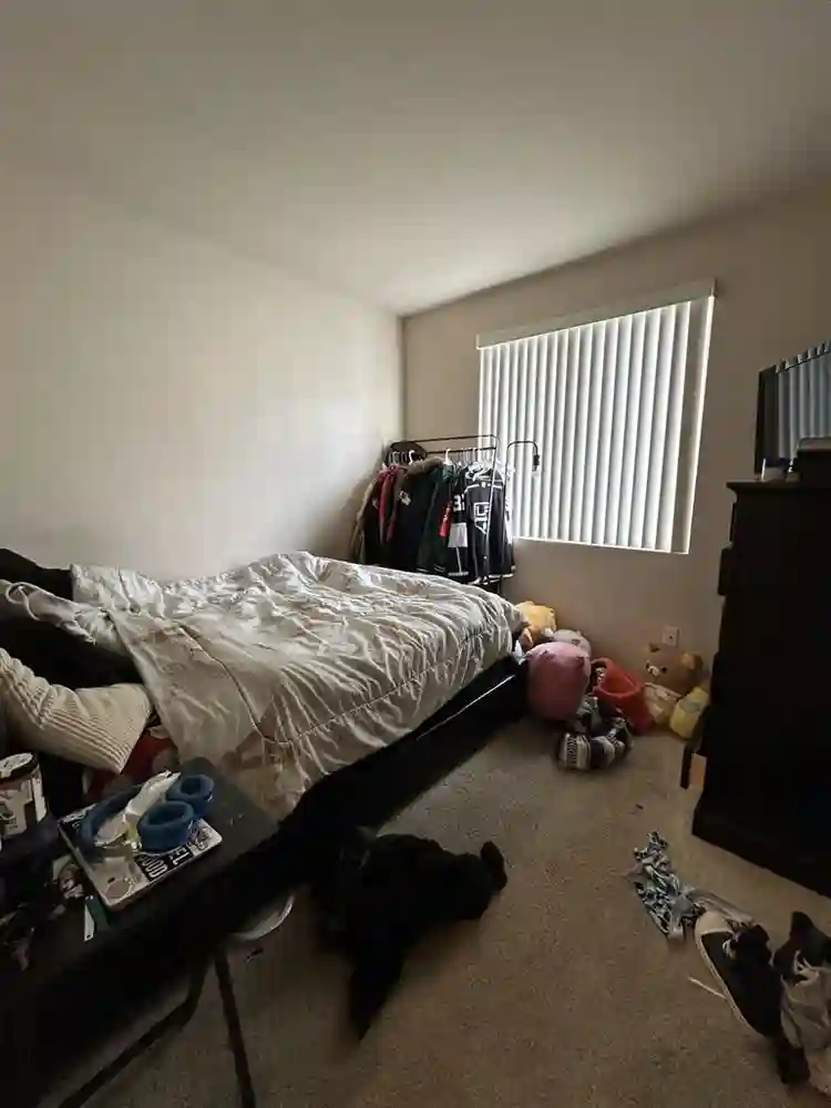 Junior Master in gated community