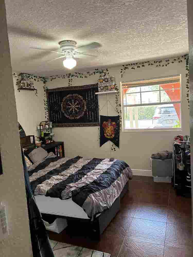 Looking for a roommate!