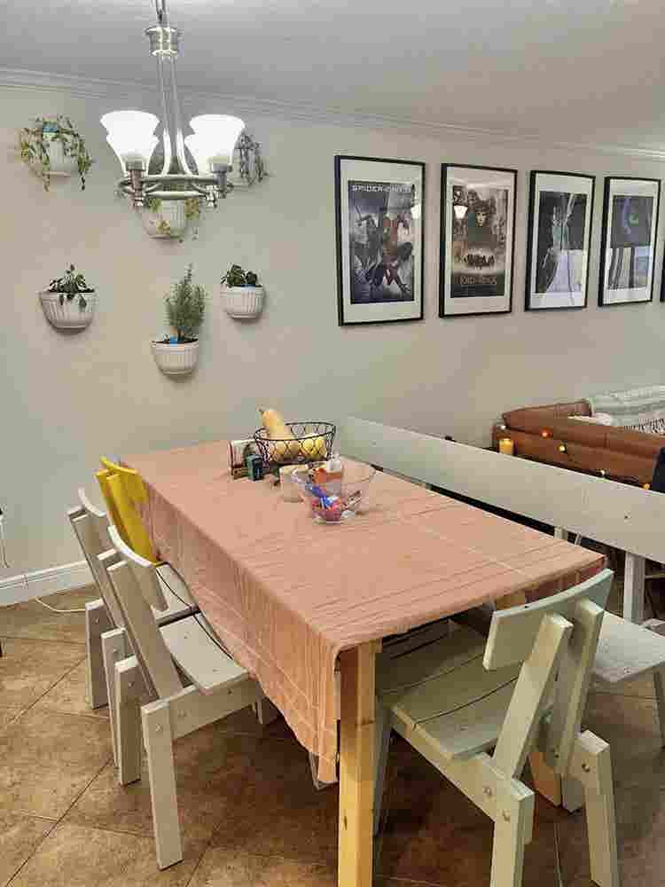 Looking for a roommate!