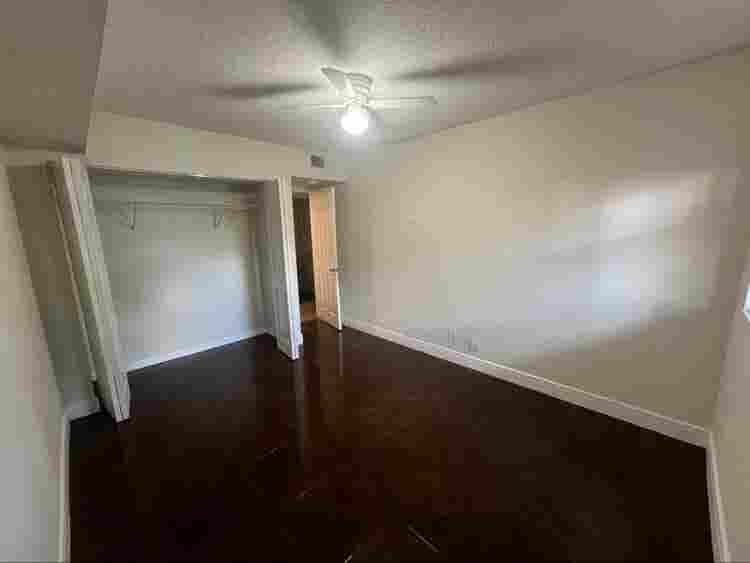 Looking for a roommate!