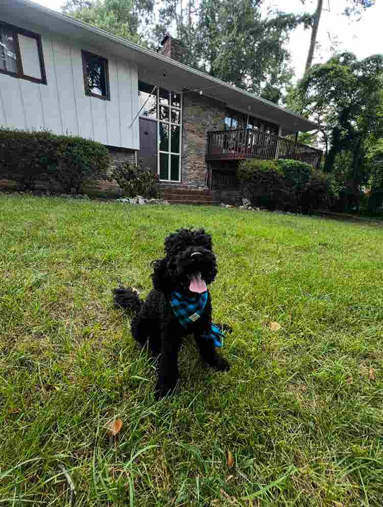 ROOM FOR RENT/BATHROOM AND 
BILLS