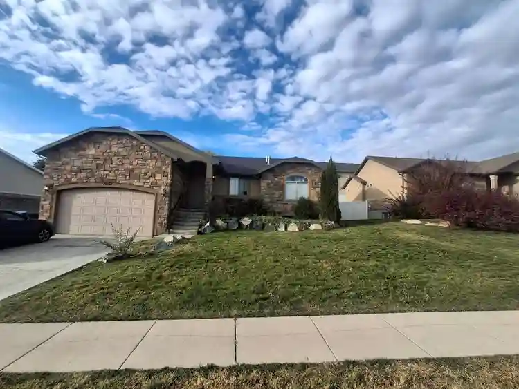 Pet friendly and Super open minded