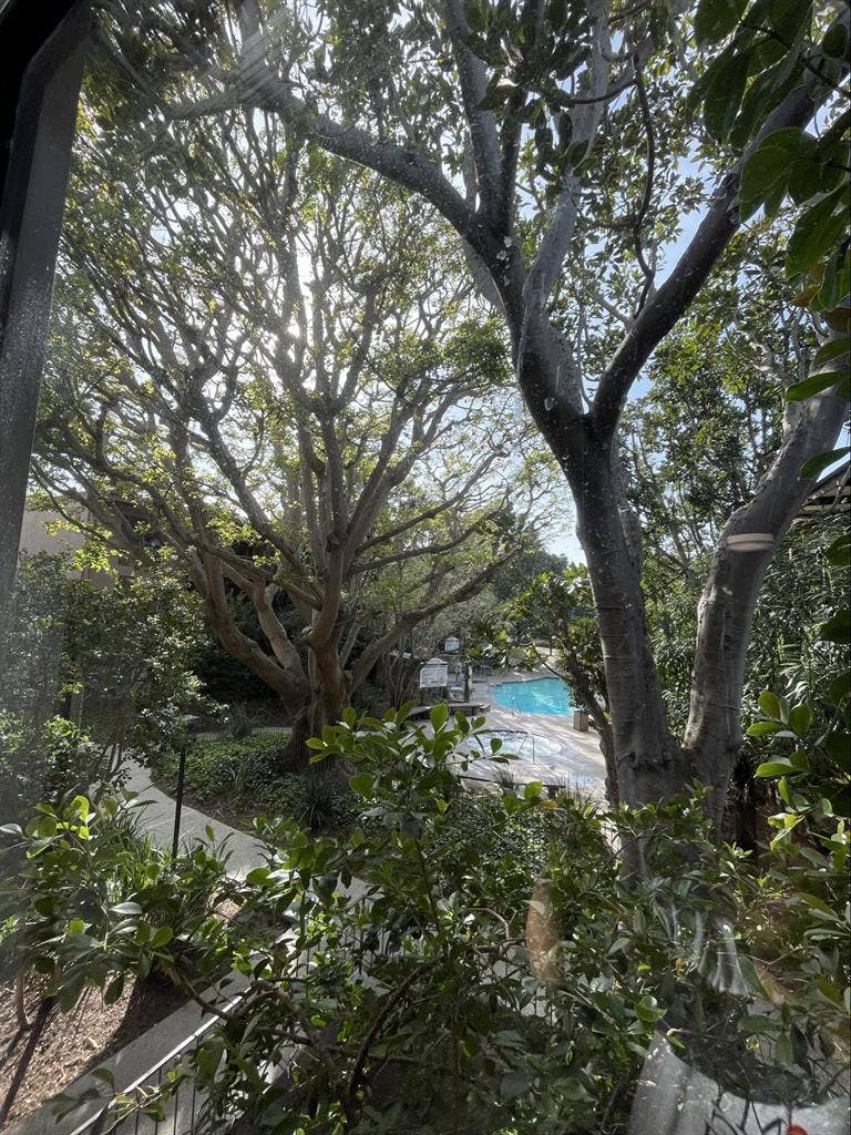 Waterfront Luxury in Marina del Rey