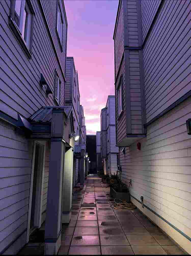 Roommate wanted
 - Olympic Village