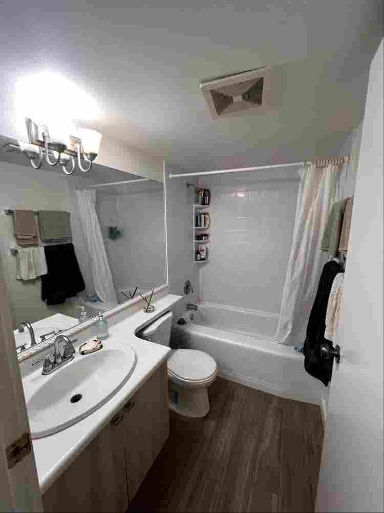 Roommate wanted
 - Olympic Village