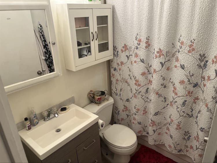 Female only, responsible, and clean