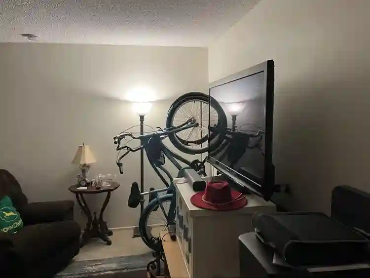 Female only, responsible, and clean