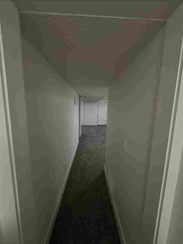 Basement apartment for rent!