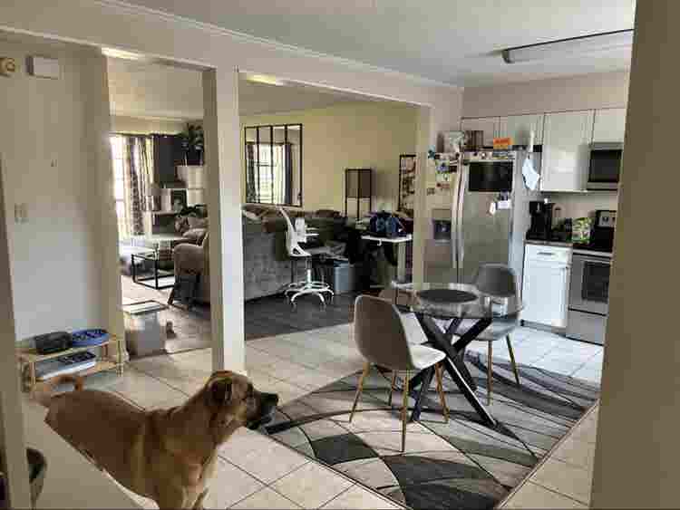 🏡🐕🍃💨☮️ Vibes