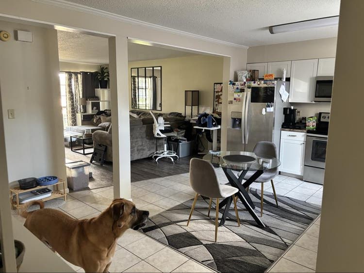 🏡🐕🍃💨☮️ Vibes