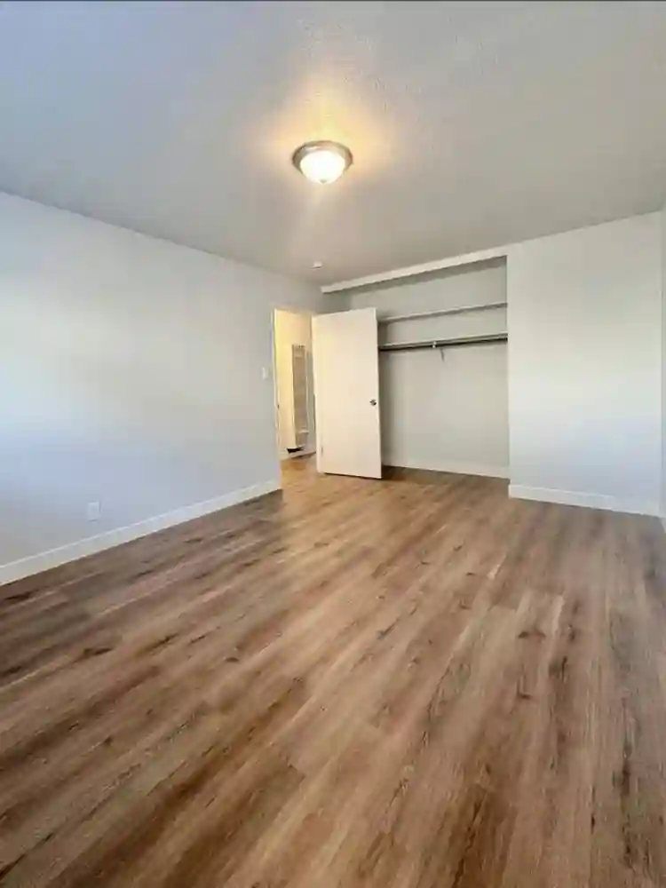 Looking for a Roomate!